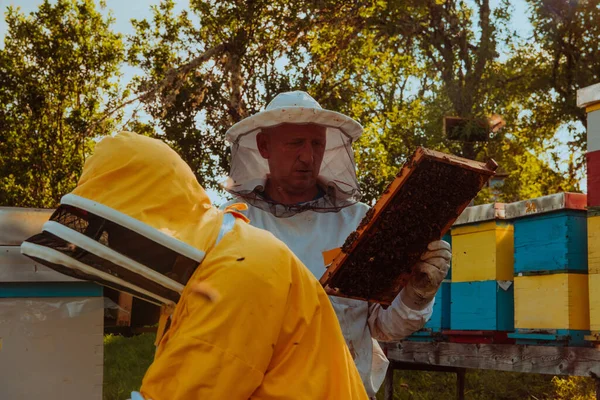 Imker Kontrollieren Den Honig Auf Dem Bienenstock Auf Dem Feld — Stockfoto