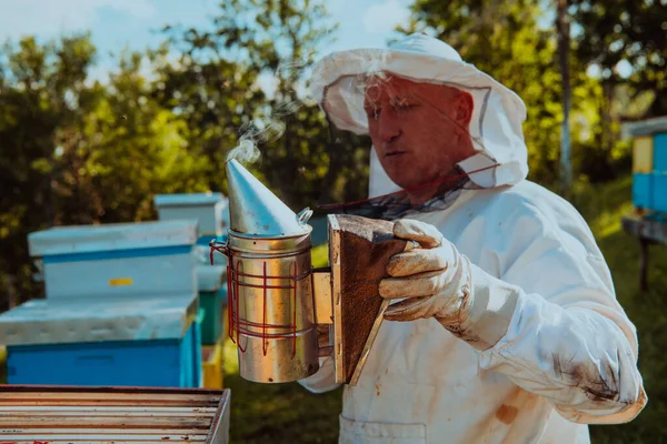 ミツバチを落ち着かせるために煙を使用して養蜂家と蜂蜜を検査し始める — ストック写真