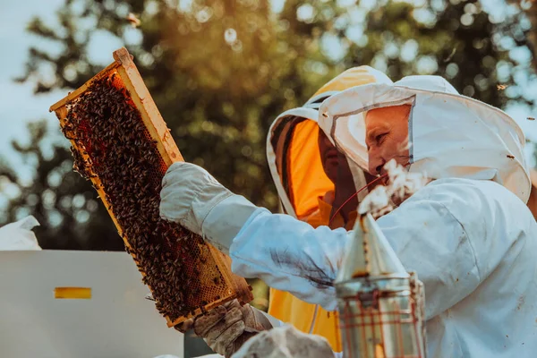 Beekeepers Checking Honey Beehive Frame Field Small Business Owners Apiary — Stock Photo, Image