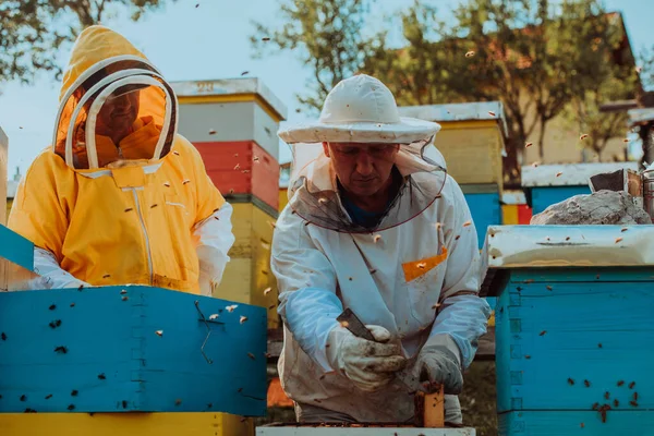 मधम मवर करत मधम यवस मधम मधम मधम दकत — स्टॉक फोटो, इमेज
