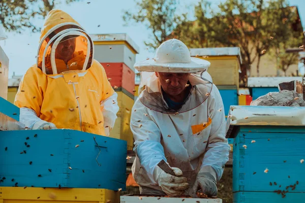 मधम मवर करत मधम यवस मधम मधम मधम दकत — स्टॉक फोटो, इमेज
