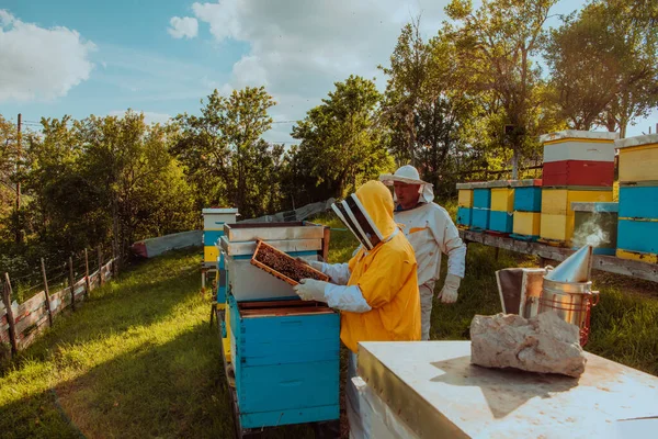 Arı Yetiştiricileri Tarladaki Arı Kovanında Bal Arıyor Arı Fabrikasının Küçük — Stok fotoğraf