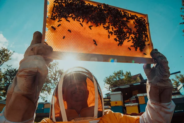 Weitwinkelaufnahme Eines Imkers Der Den Mit Honig Gefüllten Bienenstock Gegen — Stockfoto