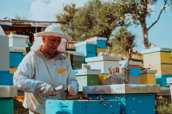 Včelař Kontroluje Med Rámu Úlu Poli Malý Podnikatel Včelíně Přírodní — Stock fotografie