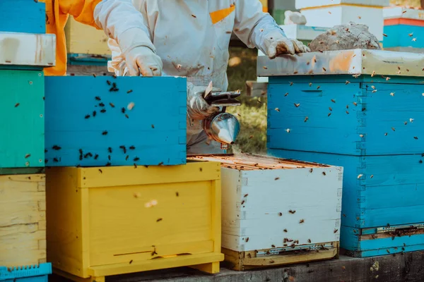 Imkers Controleren Honing Het Bijenkorf Het Veld Kleine Ondernemers Bijenstal — Stockfoto