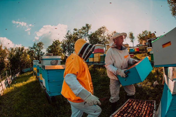 मधम मवर मधम यवस मधम मधम मधम दकत — स्टॉक फोटो, इमेज