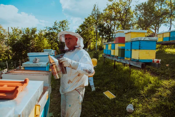 Μελισσοκόμοι Ελέγχουν Μέλι Στην Κυψέλη Στο Χωράφι Μελισσοκόμοι Ελέγχουν Την — Φωτογραφία Αρχείου