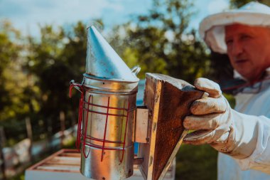 Arıcı arıları sakinleştirmek için duman kullanır ve balı incelemeye başlar.. 