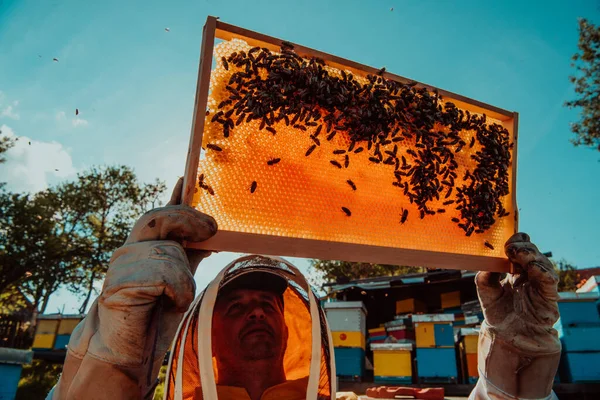 Bred Bild Biodlare Som Håller Bikupan Fylld Med Honung Mot — Stockfoto