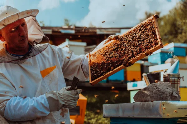 养蜂人抱着蜂箱 蜂箱里装满了蜂蜜 在阳光灿烂的田野里盛开着鲜花 — 图库照片