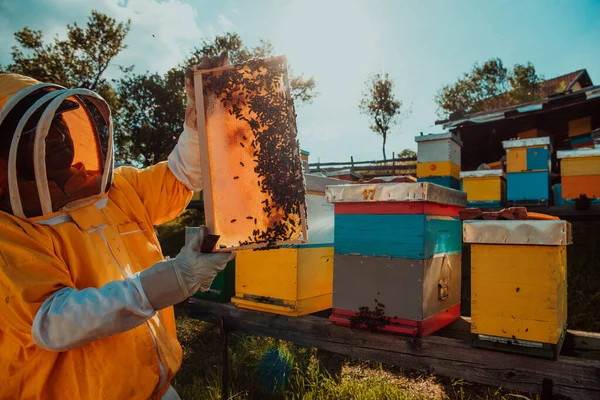 Breed Beeld Van Een Imker Die Het Bijenkorf Met Honing — Stockfoto