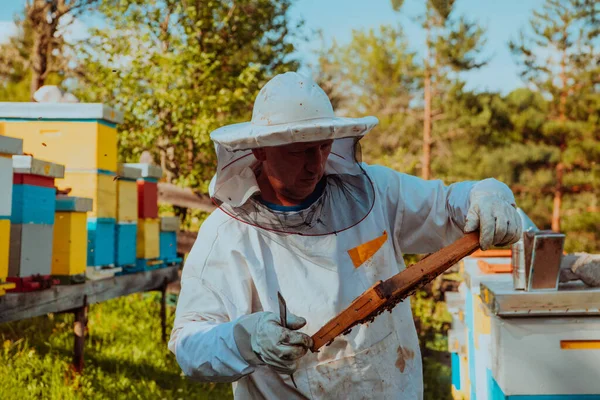 養蜂家は畑の養蜂場で蜂蜜をチェックしています 小企業の経営者だ ミツバチや養蜂で働く天然の健康食品の生産者 — ストック写真