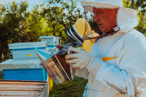 養蜂家は畑の巣箱で蜂蜜をチェックします 養蜂家は蜂蜜の品質と蜂蜜の寄生虫をチェックします 養蜂家は養蜂家と一緒に働いています 中小企業コンセプト — ストック写真