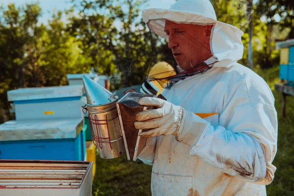 养蜂人用烟雾使蜜蜂平静下来 并开始检查蜂蜜 — 图库照片