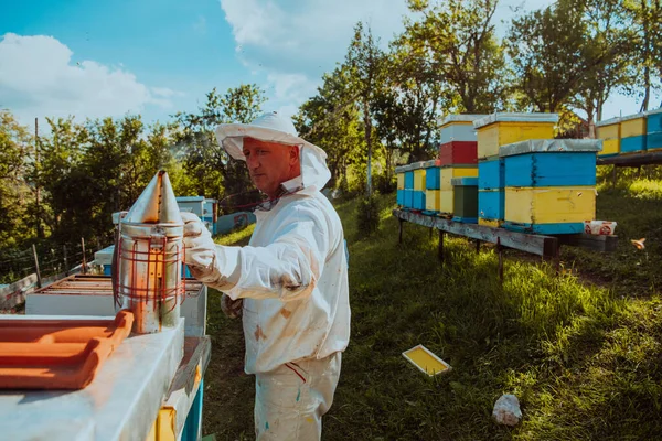 养蜂人用烟雾使蜜蜂平静下来 并开始检查蜂蜜 — 图库照片