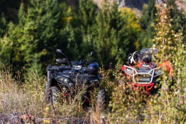 Orman bölgesinde çeşitli ATV dörtlü motorları maceralı sürüş için hazır. Yüksek kalite fotoğraf
