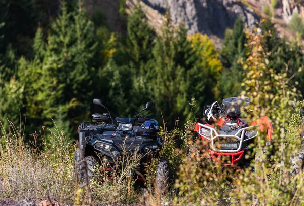 Vários Motores Quadriciclos Atv Área Florestal Prontos Para Condução Aventureira — Fotografia de Stock