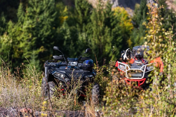 Diverse Atv Quad Motoren Het Bosgebied Klaar Voor Avontuurlijk Rijden — Stockfoto