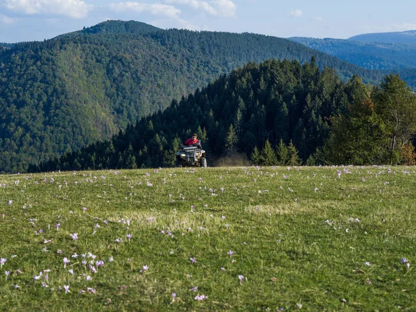 男は美しい牧草地の風景を介してクワッドAtvバイクを運転 高品質の写真 — ストック写真