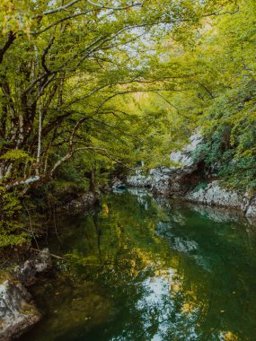 Bir grup arkadaş, sakin nehri, ormanı ve büyük doğal nehir kanyonlarını keşfederken eğleniyor ve kayak yapıyor.. 