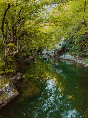 Bir grup arkadaş, sakin nehri, ormanı ve büyük doğal nehir kanyonlarını keşfederken eğleniyor ve kayak yapıyor.. 