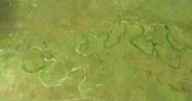 Green Field River hava sahasının üstünden aşağı uçuş. Yeryüzü akciğerleri eşsiz doğal manzara. Bahar meditasyonu manzarası. Güzel destansı soyut yüzey. Ekosistem rezervi. Yaz. Yüksek kalite 4k