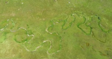 Green Field River hava sahasının üstünden aşağı uçuş. Yeryüzü akciğerleri eşsiz doğal manzara. Bahar meditasyonu manzarası. Güzel destansı soyut yüzey. Ekosistem rezervi. Yaz. Yüksek kalite 4k