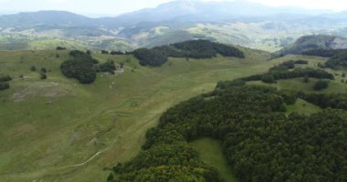 Green Field River hava sahasının üstünden aşağı uçuş. Yeryüzü akciğerleri eşsiz doğal manzara. Bahar meditasyonu manzarası. Güzel destansı soyut yüzey. Ekosistem rezervi. Yaz. Yüksek kalite 4k