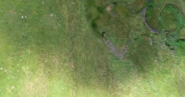 Green Field River hava sahasının üstünden aşağı uçuş. Yeryüzü akciğerleri eşsiz doğal manzara. Bahar meditasyonu manzarası. Güzel destansı soyut yüzey. Ekosistem rezervi. Yaz. Yüksek kalite 4k