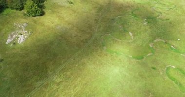 Green Field River hava sahasının üstünden aşağı uçuş. Yeryüzü akciğerleri eşsiz doğal manzara. Bahar meditasyonu manzarası. Güzel destansı soyut yüzey. Ekosistem rezervi. Yaz. Yüksek kalite 4k