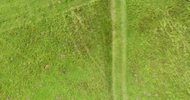 Green Field River hava sahasının üstünden aşağı uçuş. Yeryüzü akciğerleri eşsiz doğal manzara. Bahar meditasyonu manzarası. Güzel destansı soyut yüzey. Ekosistem rezervi. Yaz. Yüksek kalite 4k