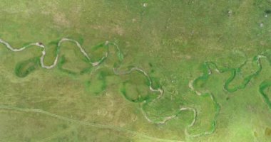 Green Field River hava sahasının üstünden aşağı uçuş. Yeryüzü akciğerleri eşsiz doğal manzara. Bahar meditasyonu manzarası. Güzel destansı soyut yüzey. Ekosistem rezervi. Yaz. Yüksek kalite 4k