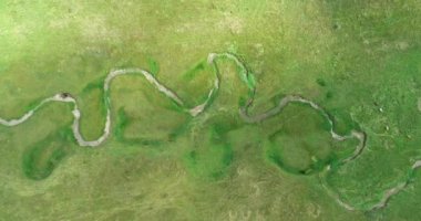 Green Field River hava sahasının üstünden aşağı uçuş. Yeryüzü akciğerleri eşsiz doğal manzara. Bahar meditasyonu manzarası. Güzel destansı soyut yüzey. Ekosistem rezervi. Yaz. Yüksek kalite 4k