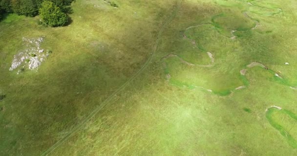 Полет Сверху Над Зеленым Полем Речной Антенны Планета Земля Легких — стоковое видео