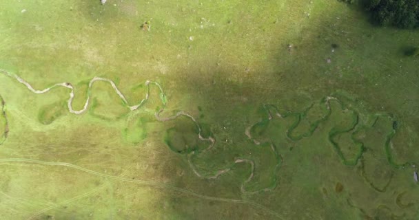 Volo Dall Alto Sopra Green Field River Aerial Pianeta Terra — Video Stock