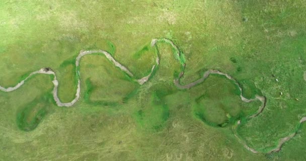 Green Field River Hava Sahasının Üstünden Aşağı Uçuş Yeryüzü Akciğerleri — Stok video