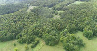 Green Field River hava sahasının üstünden aşağı uçuş. Yeryüzü akciğerleri eşsiz doğal manzara. Bahar meditasyonu manzarası. Güzel destansı soyut yüzey. Ekosistem rezervi. Yaz. Yüksek kalite 4k