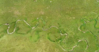 Green Field River hava sahasının üstünden aşağı uçuş. Yeryüzü akciğerleri eşsiz doğal manzara. Bahar meditasyonu manzarası. Güzel destansı soyut yüzey. Ekosistem rezervi. Yaz. Yüksek kalite 4k