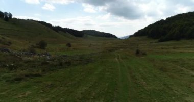 Green Field River hava sahasının üstünden aşağı uçuş. Yeryüzü akciğerleri eşsiz doğal manzara. Bahar meditasyonu manzarası. Güzel destansı soyut yüzey. Ekosistem rezervi. Yaz. Yüksek kalite 4k
