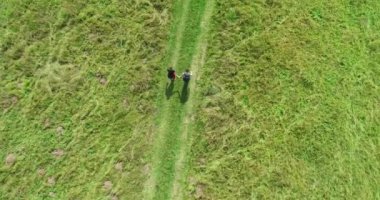 Green Field River hava sahasının üstünden aşağı uçuş. Yeryüzü akciğerleri eşsiz doğal manzara. Bahar meditasyonu manzarası. Güzel destansı soyut yüzey. Ekosistem rezervi. Yaz. Yüksek kalite 4k