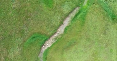 Green Field River hava sahasının üstünden aşağı uçuş. Yeryüzü akciğerleri eşsiz doğal manzara. Bahar meditasyonu manzarası. Güzel destansı soyut yüzey. Ekosistem rezervi. Yaz. Yüksek kalite 4k