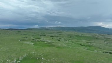 Vahşi Doğada Dörtnala Koşan Vahşi Atlar Sürüsünün Üzerindeki Destansı Hava Altın Saat Atlı Çiftleşme Ekolojik Keşif Gücü ve Dayanıklılık Konsepti 4K. Merhaba Kaliteli hisse