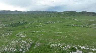 Vahşi Doğada Dörtnala Koşan Vahşi Atlar Sürüsünün Üzerindeki Destansı Hava Altın Saat Atlı Çiftleşme Ekolojik Keşif Gücü ve Dayanıklılık Konsepti 4K. Merhaba Kaliteli hisse