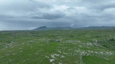 Kırsal manzaranın havadan görünüşü. Mor, turuncu ve yeşil bitkilerin gölgeli bulutlar. Dramatik bir gökyüzü. Yüksek kaliteli stok fotoğrafı