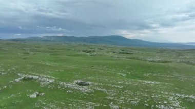 Vahşi Doğada Dörtnala Koşan Vahşi Atlar Sürüsünün Üzerindeki Destansı Hava Altın Saat Atlı Çiftleşme Ekolojik Keşif Gücü ve Dayanıklılık Konsepti 4K. Merhaba Kaliteli hisse