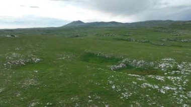 Vahşi Doğada Dörtnala Koşan Vahşi Atlar Sürüsünün Üzerindeki Destansı Hava Altın Saat Atlı Çiftleşme Ekolojik Keşif Gücü ve Dayanıklılık Konsepti 4K. Merhaba Kaliteli hisse