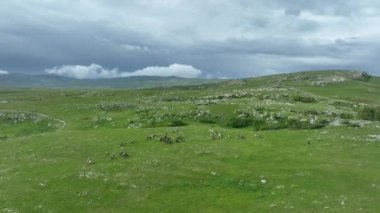 Vahşi Doğada Dörtnala Koşan Vahşi Atlar Sürüsünün Üzerindeki Destansı Hava Altın Saat Atlı Çiftleşme Ekolojik Keşif Gücü ve Dayanıklılık Konsepti 4K. Merhaba Kaliteli hisse