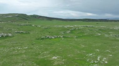 Vahşi Doğada Dörtnala Koşan Vahşi Atlar Sürüsünün Üzerindeki Destansı Hava Altın Saat Atlı Çiftleşme Ekolojik Keşif Gücü ve Dayanıklılık Konsepti 4K. Merhaba Kaliteli hisse