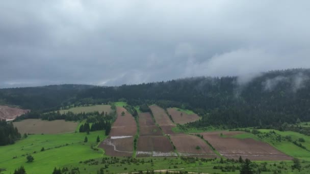 Drony Lotnicze Widok Gruntów Rolnych Odbywa Się Zdrowego Lasu Koncepcja — Wideo stockowe