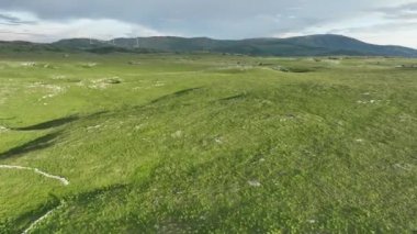 Kırsal manzaranın havadan görünüşü. Mor, turuncu ve yeşil bitkilerin gölgeli bulutlar. Dramatik bir gökyüzü. Yüksek kaliteli stok fotoğrafı